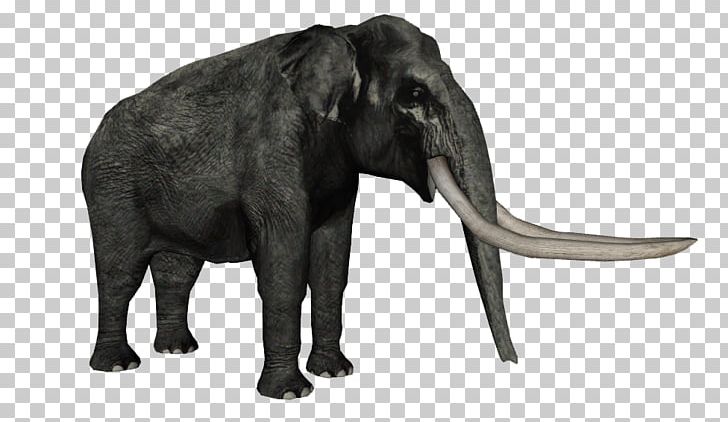 African Elephant Stegodon Florensis Flores Man Indian Elephant PNG, Clipart, African Elephant, Animal, Elephant, Elephantidae, Elephants And Mammoths Free PNG Download