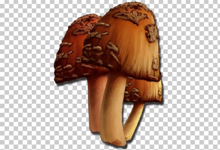 ARK: Survival Evolved Able Content Mushroom Xbox YouTube PNG, Clipart, Abbildungsfehler, Ark Survival, Ark Survival Evolved, Control Key, Downloadable Content Free PNG Download