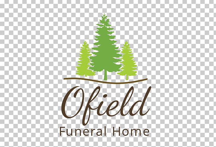 Hammock Camping Pacific Crest Trail Ofield Funeral Home PNG, Clipart, Backpacking, Brand, Burbage Funeral Home, Camping, Campsite Free PNG Download