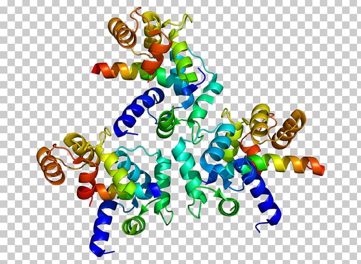 L-type Calcium Channel Voltage-gated Calcium Channel Cav1.3 Protein Subunit PNG, Clipart, Area, Art, Calcium, Calcium Channel, Cav12 Free PNG Download