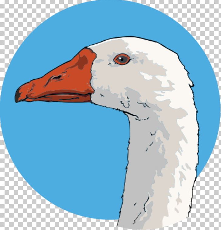 Charlotte's Web Goose Computer Icons PNG, Clipart, Animals, Animation, Beak, Bird, Blue Free PNG Download