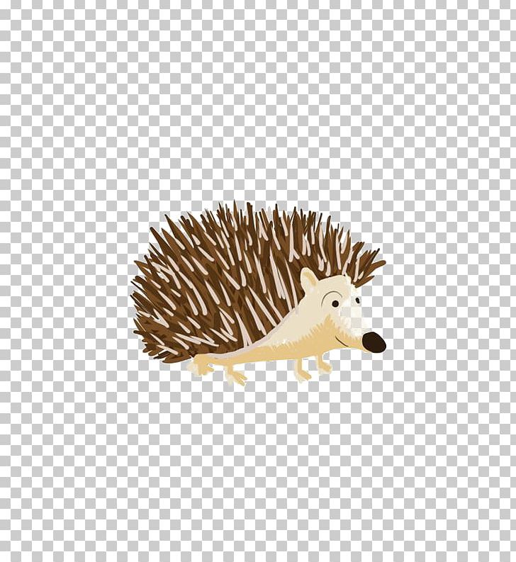 Domesticated Hedgehog Echidna Porcupine Domestication PNG, Clipart, Animal, Animals, Balloon Cartoon, Boy Cartoon, Cartoon Alien Free PNG Download