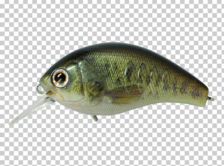 Spoon Lure Oily Fish Korrigan Rod PNG, Clipart, Bait, Dep, Fish, Fishing Bait, Fishing Lure Free PNG Download