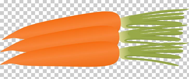 Carrot Cake Carrot Salad Muffin PNG, Clipart, Arracacia Xanthorrhiza, Blog, Carrot, Carrot Cake, Carrot Cliparts Free PNG Download
