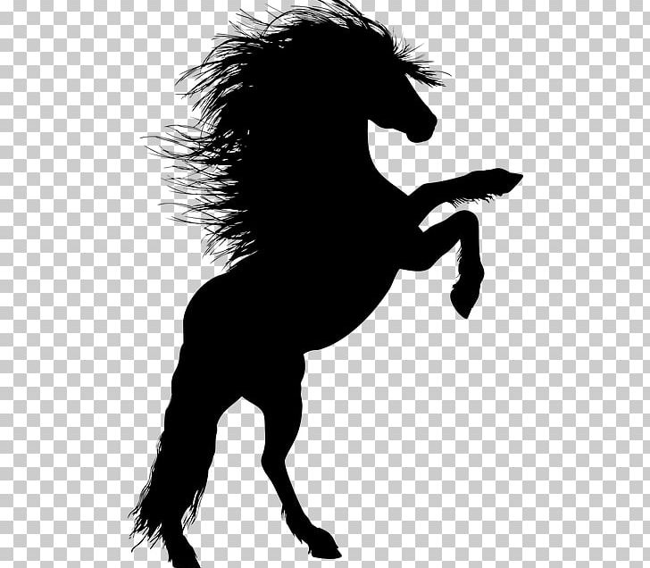 Stallion Horse Rearing Silhouette PNG, Clipart, Animals, Black And White, Carnivoran, Collection, Dog Like Mammal Free PNG Download