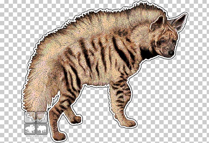 Africa Striped Hyena Cat Brown Hyena PNG, Clipart, Animal, Animals, Big Cats, Blanket, Brown Hyena Free PNG Download