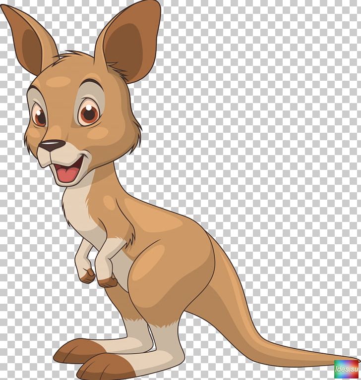 Kangaroo Cartoon PNG, Clipart, Animals, Boxing Kangaroo, Carnivoran, Cartoon,  Cat Like Mammal Free PNG Download