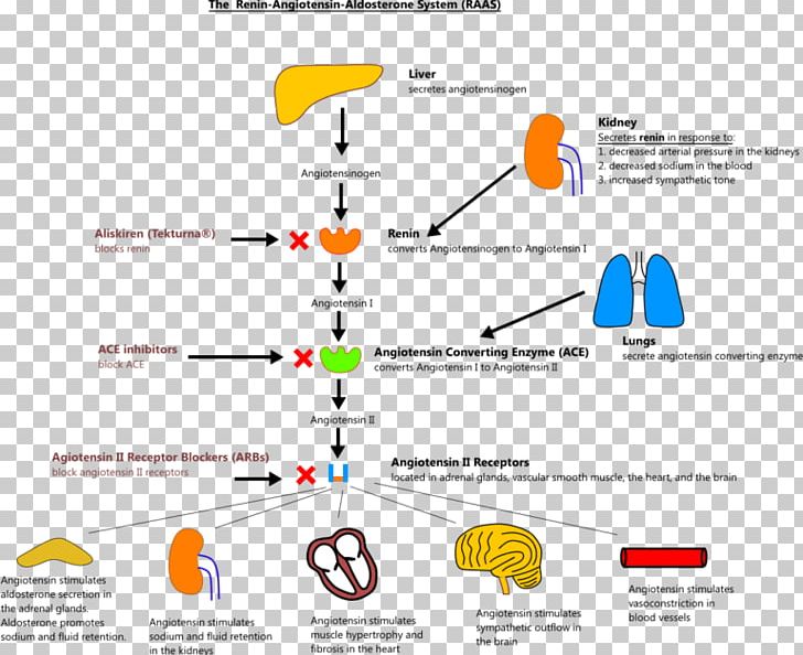 Line Brand Diagram PNG, Clipart, Angle, Area, Art, Blocker, Brand Free PNG Download