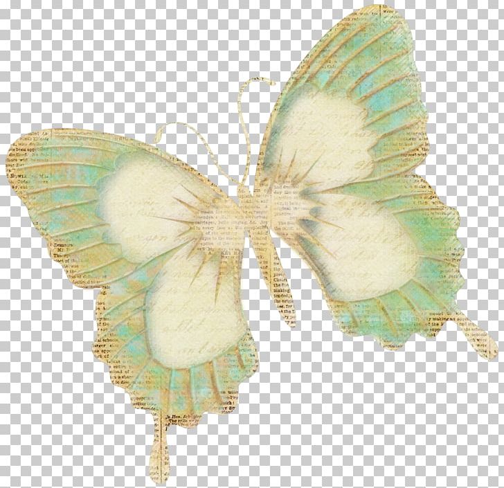 Butterfly Paper Insect Het Chocolat Moment PNG, Clipart, Butterflies And Moths, Butterfly, Chocolat, Etsy, Het Free PNG Download