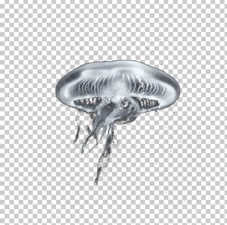 Marine Invertebrates /m/02csf Jellyfish Drawing Fish Stock PNG, Clipart, 27 January, Artwork, Black And White, Creativity, Deviantart Free PNG Download