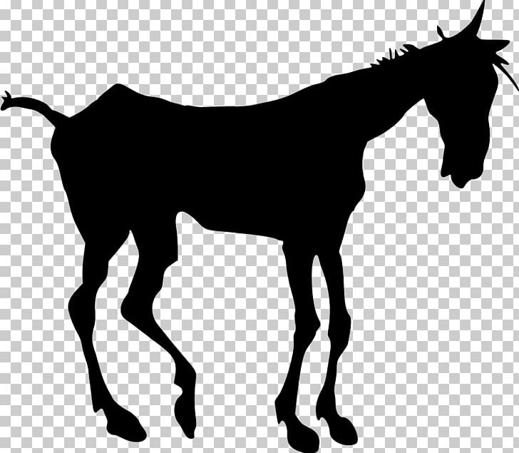 Mule Mustang Silhouette Foal PNG, Clipart, Animal, Black And White, Bridle, Colt, Draft Horse Free PNG Download