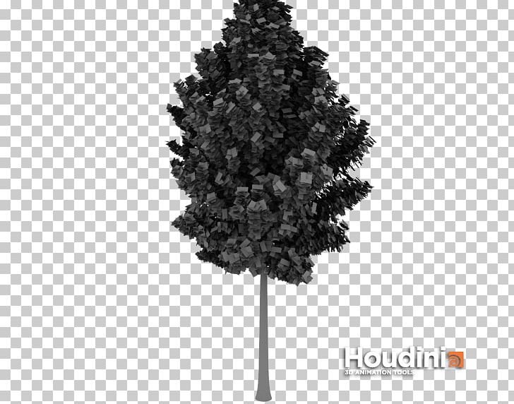 Spruce Fir Pine Christmas Tree PNG, Clipart, Black And White, Christmas, Christmas Tree, Conifer, Fir Free PNG Download