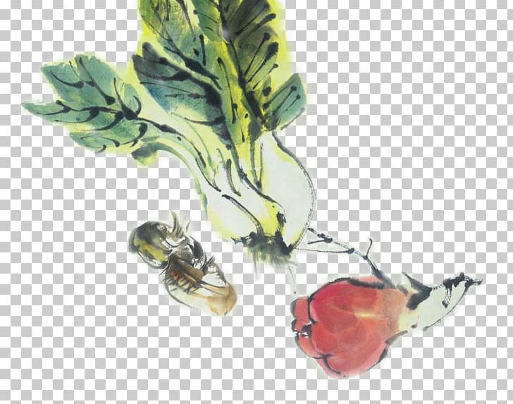 Cabbage Watercolor Painting Vegetable PNG, Clipart, Balloon, Bok Choy, Brassica Oleracea, Cabbage, Cartoon Free PNG Download