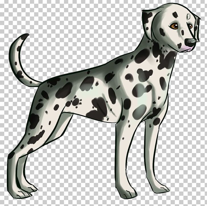 Dalmatian Dog Dog Breed Companion Dog Non-sporting Group Paw PNG, Clipart, Breed, Carnivoran, Companion Dog, Dalmatian, Dalmatian Dog Free PNG Download