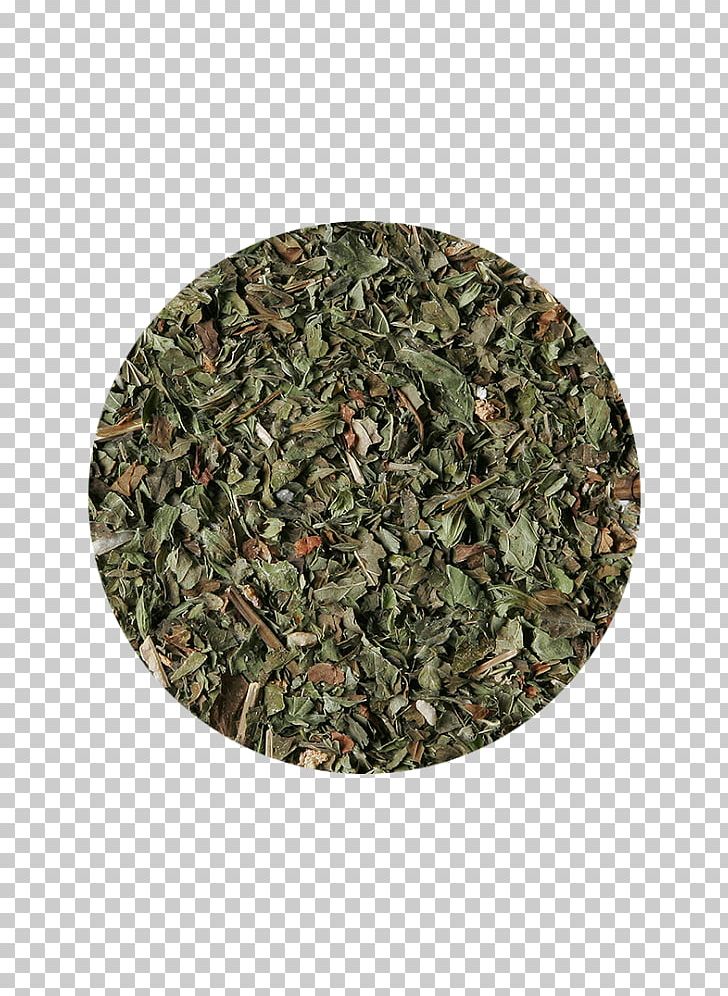 Herbal Tea Sencha Rooibos Military Camouflage PNG, Clipart, Camouflage, Conifers, Food Drinks, Grass, Health Fitness And Wellness Free PNG Download