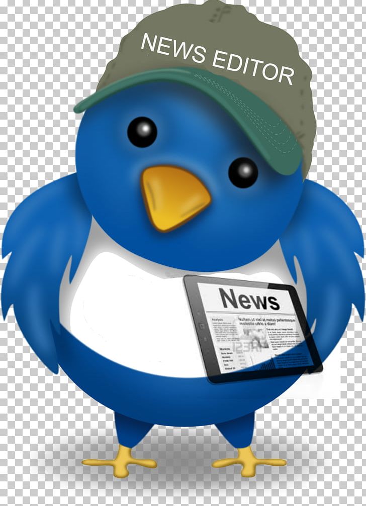 Journalism Public Relations Journalist Media Relations News PNG, Clipart, Beak, Bird, Bird On Wire, Blog, Cision Free PNG Download