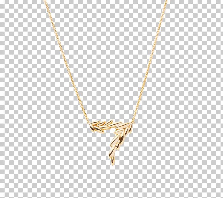 Necklace Jewellery Charms & Pendants Chain PNG, Clipart, Chain, Charms Pendants, Fashion, Jewellery, Necklace Free PNG Download