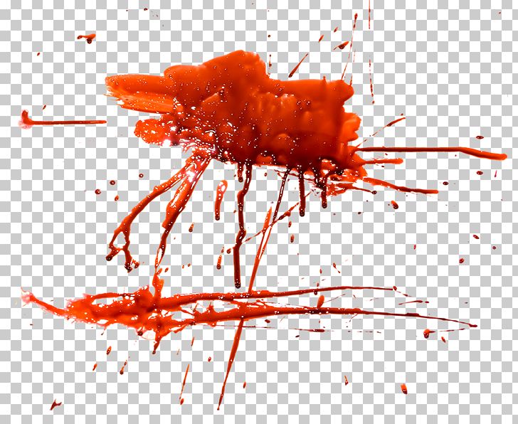 Icon PNG, Clipart, Blood, Blood Cell, Blood Residue, Bloodstain Pattern Analysis, Body Fluid Free PNG Download