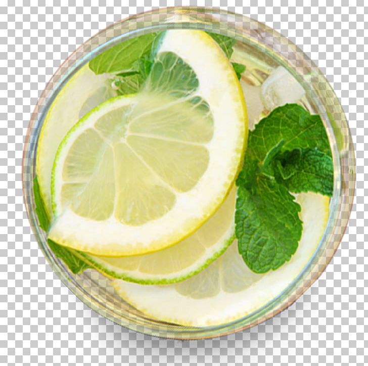 Juice Maghrebi Mint Tea Lemon Drink PNG, Clipart, Alkaline Diet, Citric Acid, Citrus, Drink, Drinking Free PNG Download
