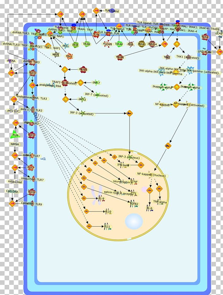 Line Point Diagram Organism PNG, Clipart, Area, Art, Diagram, Line, Marsh Free PNG Download