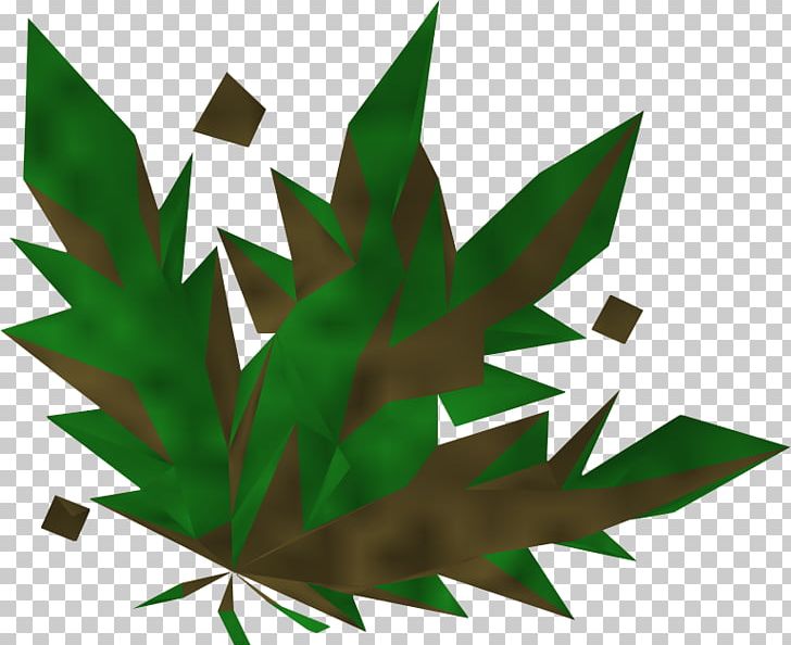 RuneScape Wikia Herb Potion PNG, Clipart, Cannabis, Grass, Green, Herb, Howto Free PNG Download