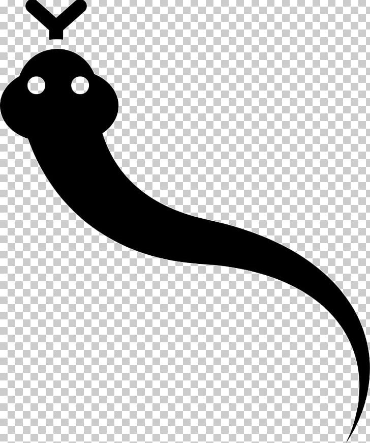 Snake Computer Icons Encapsulated PostScript PNG, Clipart, Animal, Animals, Black And White, Brazil, Cobra Free PNG Download