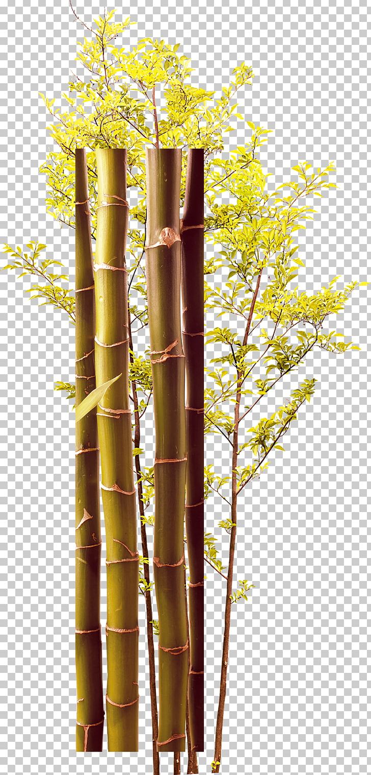 Twig Bamboo Green PNG, Clipart, Bamboe, Bamboo, Bamboo Forest, Branch, Christmas Tree Free PNG Download