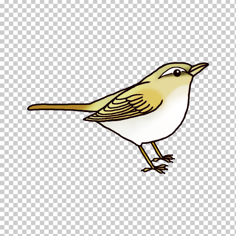 Feather PNG, Clipart, Beak, Bird Nest, Birds, Bluebirds, European Robin Free PNG Download