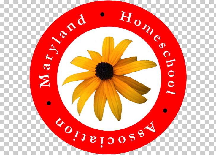 Maryland Homeschooling Compulsory Education PNG, Clipart, Area, Background Backdrop Halal Bi Halal, Board Of Education, Child, Curriculum Free PNG Download