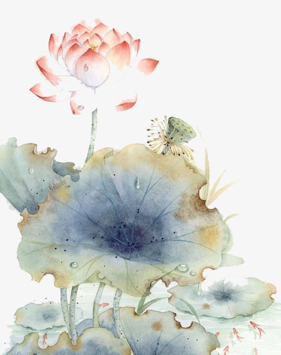 Watercolor Lotus PNG, Clipart, Autumn, Cartoon, Decorate, Hand, Ink Free PNG Download