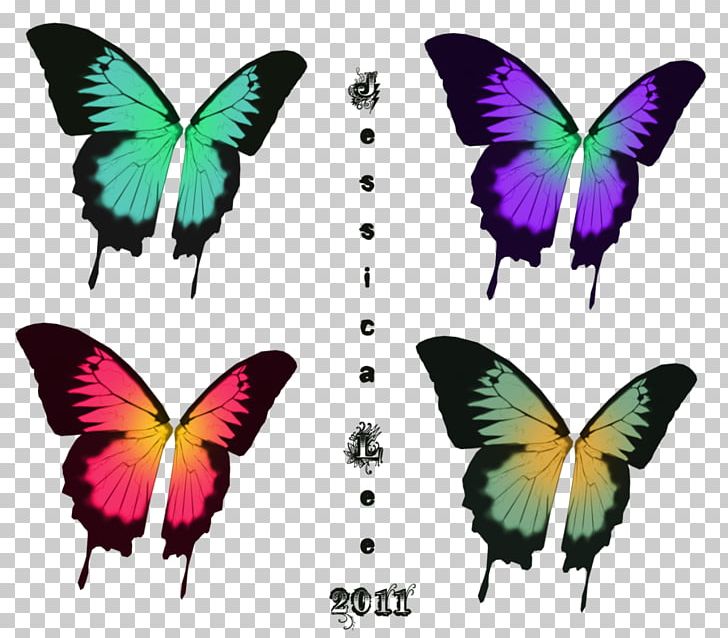 Brush-footed Butterflies Butterfly Symmetry PNG, Clipart, Brush Footed Butterfly, Butterfly, Insect, Insects, Invertebrate Free PNG Download