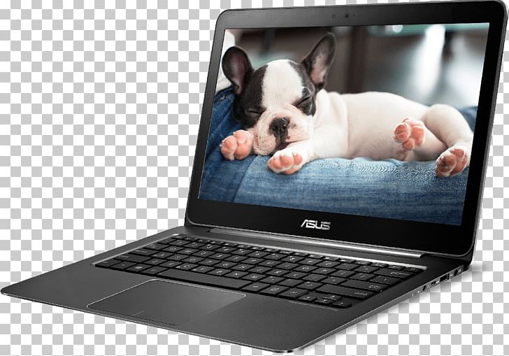 Laptop ASUS ZenBook UX305 Intel PNG, Clipart, Asus, Asus Transformer Book T300 Chi, Asus Zenbook, Asus Zenbook Ux305, Boston Terrier Free PNG Download