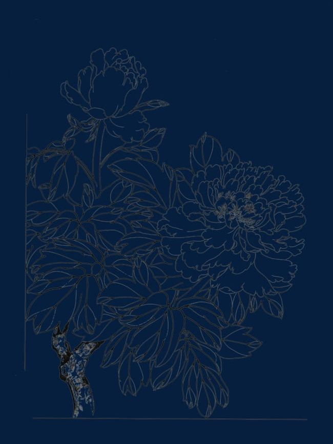 Peony Flower Line Drawing PNG, Clipart, Abstract, Backgrounds, Chinese, Chinese Style, Decoration Free PNG Download