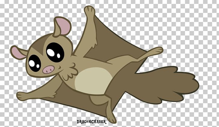 Rainbow Dash Flying Squirrel Bat Rodent PNG, Clipart, Animal, Animals, Bat, Canidae, Carnivoran Free PNG Download