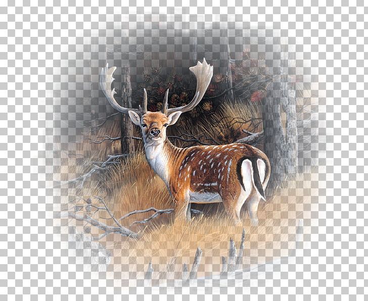 Reindeer Painter Painting Canvas Art PNG, Clipart, Animal Painter, Animal Painting, Antler, Art, Blejtram Free PNG Download