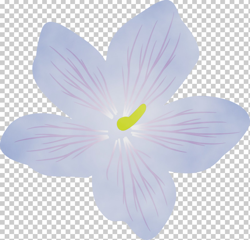 Lavender PNG, Clipart, Biology, Flower, Lavender, Paint, Petal Free PNG Download