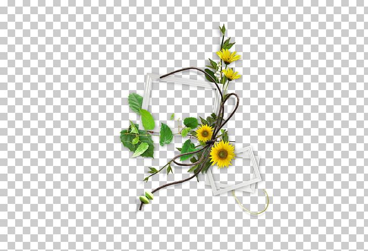 German Chamomile Guestbook PNG, Clipart, Artificial Flower, Chamomile, Cut Flowers, Daisy, Daisy Family Free PNG Download