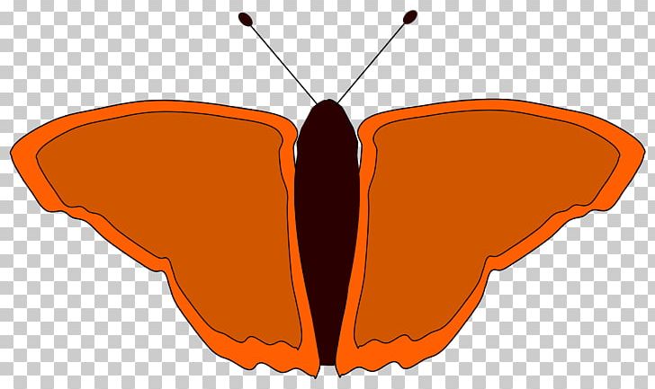 Butterfly Drawing PNG, Clipart, Arthropod, Brush Footed Butterfly, Butterfly, Color, Drawing Free PNG Download