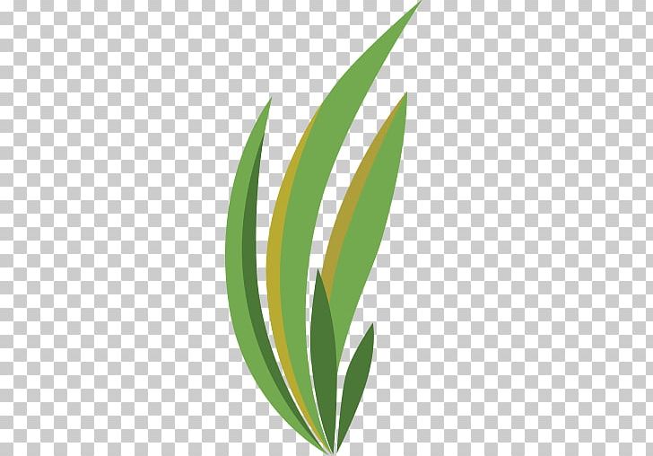 Lawn Artificial Turf Backyard Leaf Logo PNG, Clipart, Artificial Turf, Backyard, Golf, Grass, Green Free PNG Download