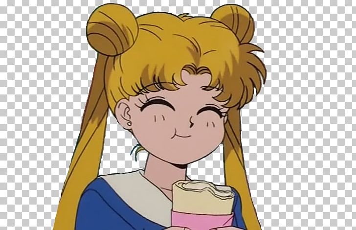 Sailor Moon Manga Aesthetics Kavaii PNG, Clipart, Aesthetics, Arm, Boy, Carnivoran, Cartoon Free PNG Download