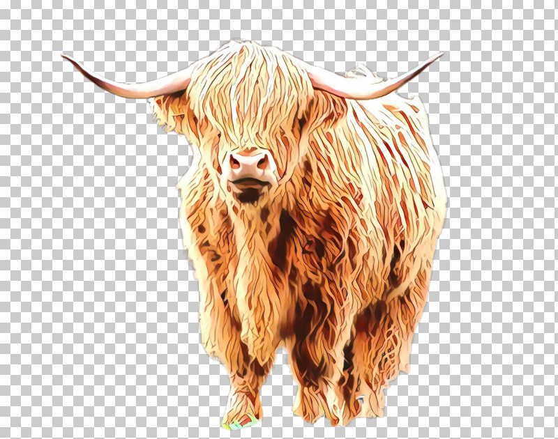 Horn Bovine Bull Livestock Ox PNG, Clipart, Bovine, Bull, Cowgoat Family, Horn, Livestock Free PNG Download