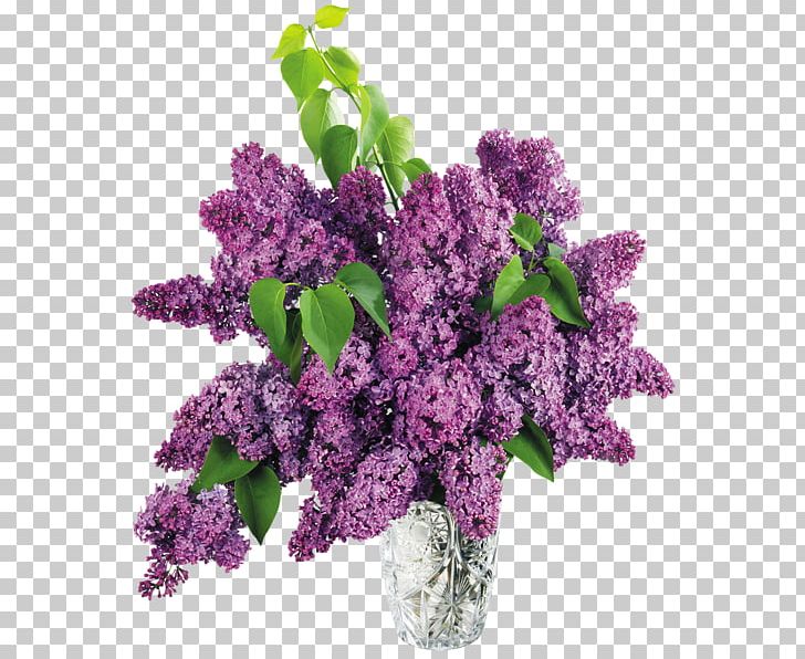 Common Lilac Vase PNG, Clipart, Color, Common Lilac, Cut Flowers, Desktop Wallpaper, Encapsulated Postscript Free PNG Download