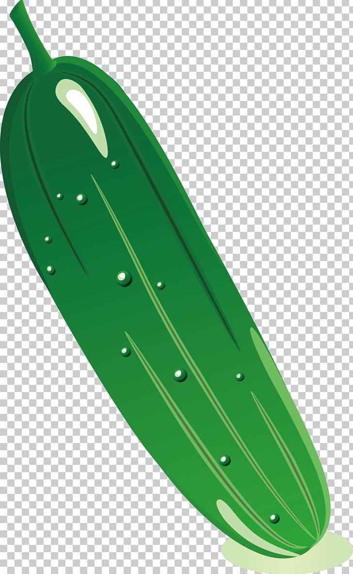37523 Cucumber Drawing Images Stock Photos  Vectors  Shutterstock