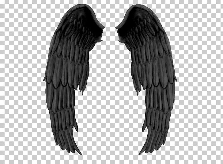 Fallen Angel Drawing Darkness PNG, Clipart, Angel, Beak, Bird Of Prey, Black, Black And White Free PNG Download