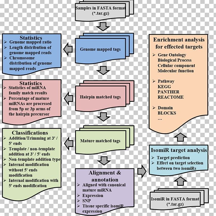 IsomiR MicroRNA RNA-Seq Small RNA Sequencing PNG, Clipart, Area, Common Fig, Communication, Data, Diagram Free PNG Download