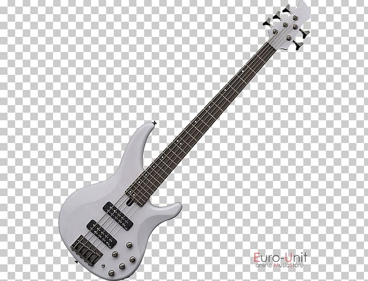 Bass Guitar String Instruments Electric Guitar PNG, Clipart, Acoustic Bass Guitar, Classical Guitar, Double Bass, Guitar Accessory, Ibanez Free PNG Download