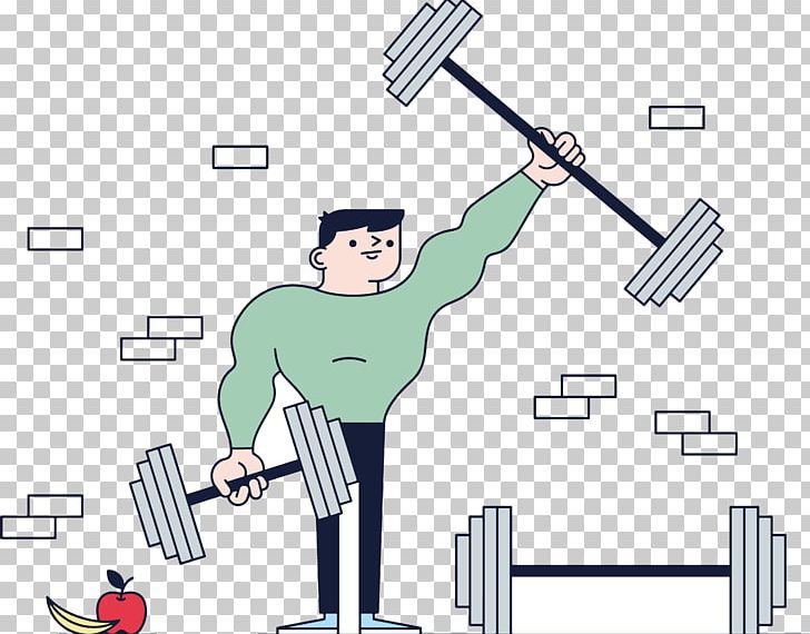 Bodybuilding Physical Exercise Olympic Weightlifting PNG, Clipart, Angle, Apple, Banana, Cartoon, Designer Free PNG Download