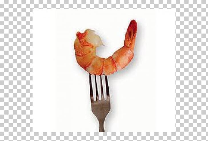 Caridean Shrimp Scampi Shrimp Cuisine Cooking Food PNG, Clipart, Animal Source Foods, Blog, Caridean Shrimp, Cooking, Cuisine Free PNG Download