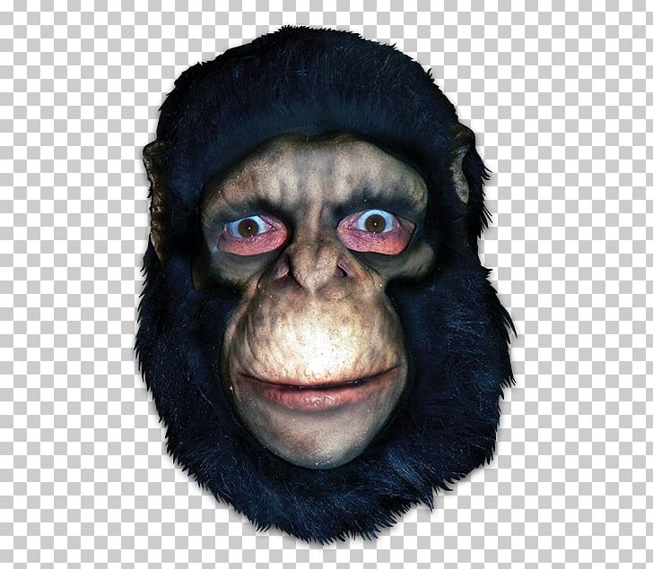 Common Chimpanzee Gorilla Mask Monkey Primate PNG, Clipart, Ape, Apes And Monkeys, Chimpanzee, Common Chimpanzee, Costume Free PNG Download