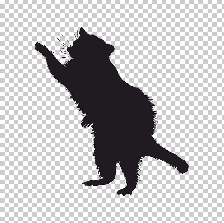 Raccoon Coyote Silhouette Drawing PNG, Clipart, Animal, Animals, Black, Black And White, Black Cat Free PNG Download